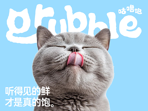 咕噜饱 | 宠物品牌包装全案设计