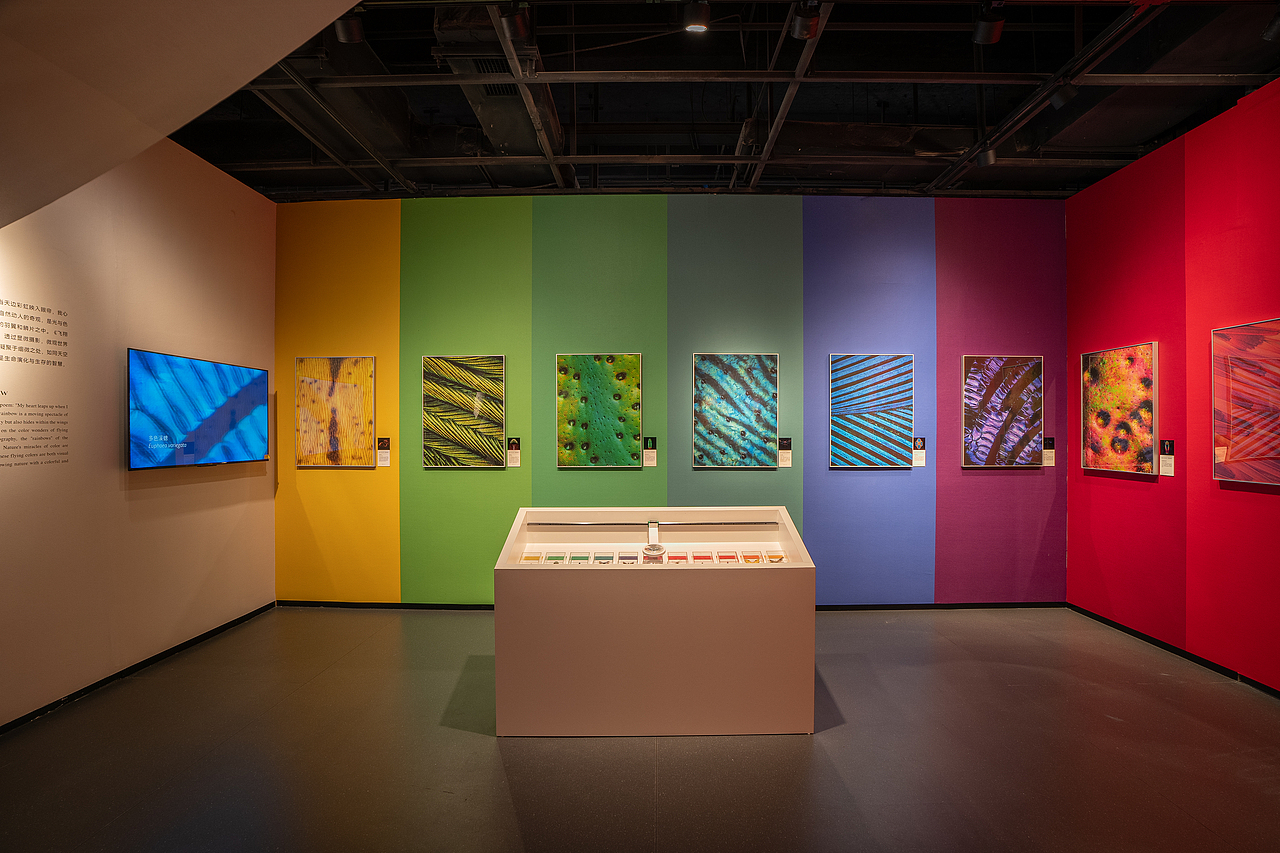 奇观科学艺术展|全新升级,超多内容首发(图ZNDA3NzI4MTk2) - 展陈设计 - 站酷设计师美丽科学原创素材 - 站酷ZCOOL