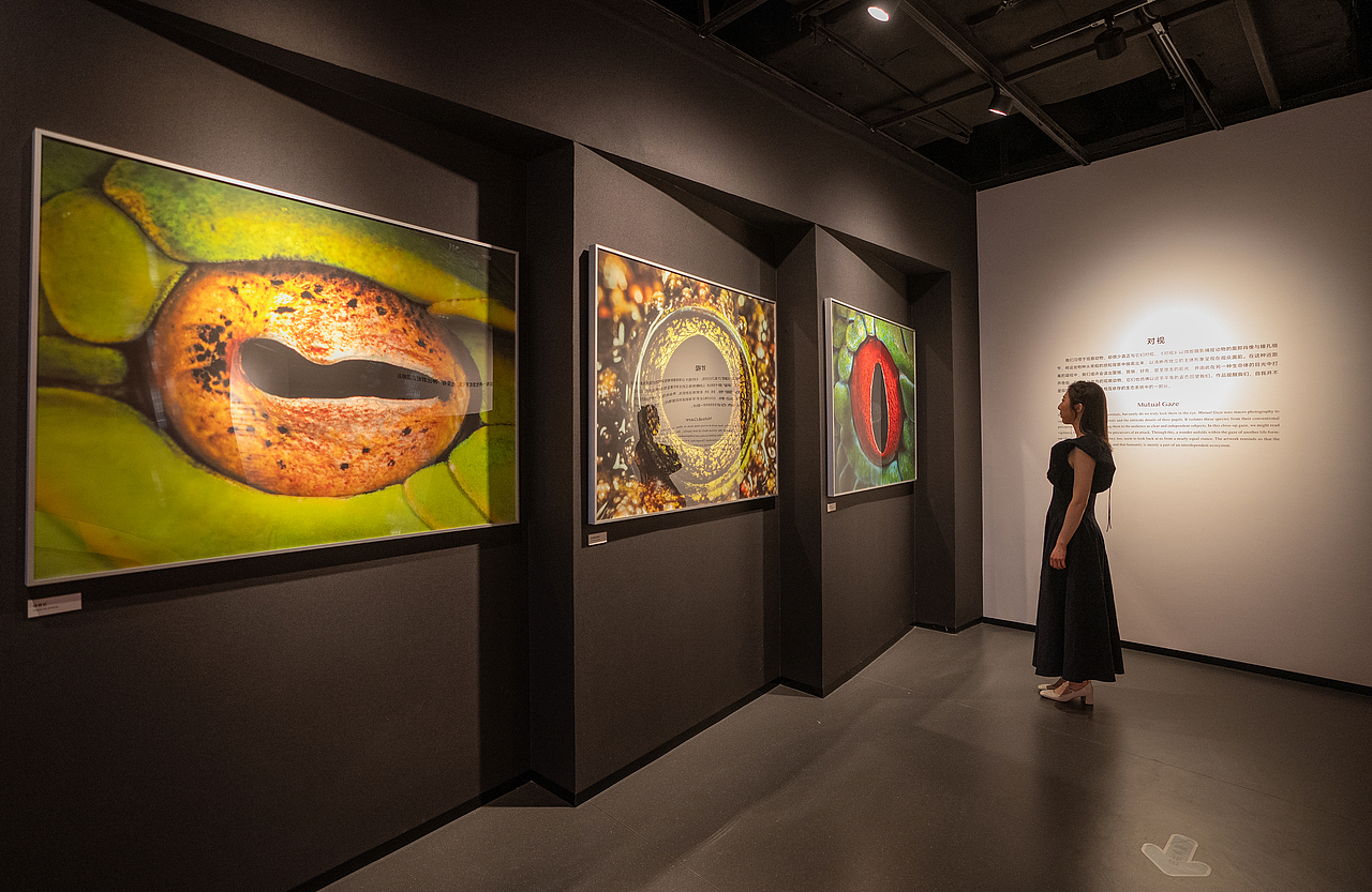 奇观科学艺术展|全新升级,超多内容首发(图ZNDA3NzI4MjIw) - 展陈设计 - 站酷设计师美丽科学原创素材 - 站酷ZCOOL