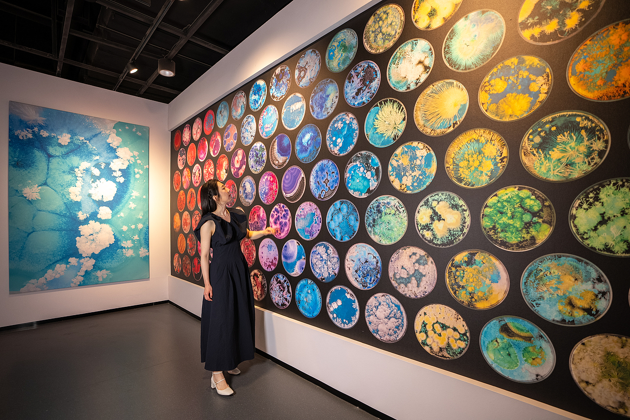 奇观科学艺术展|全新升级,超多内容首发(图ZNDA3NzI4MjQ4) - 展陈设计 - 站酷设计师美丽科学原创素材 - 站酷ZCOOL
