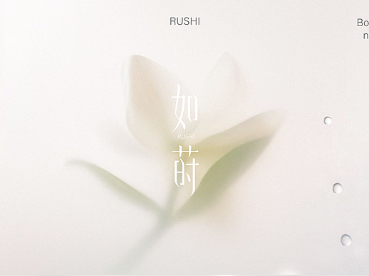 “如莳”护肤品包装设计 | 逐浪派对
