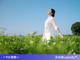 茶-摄影