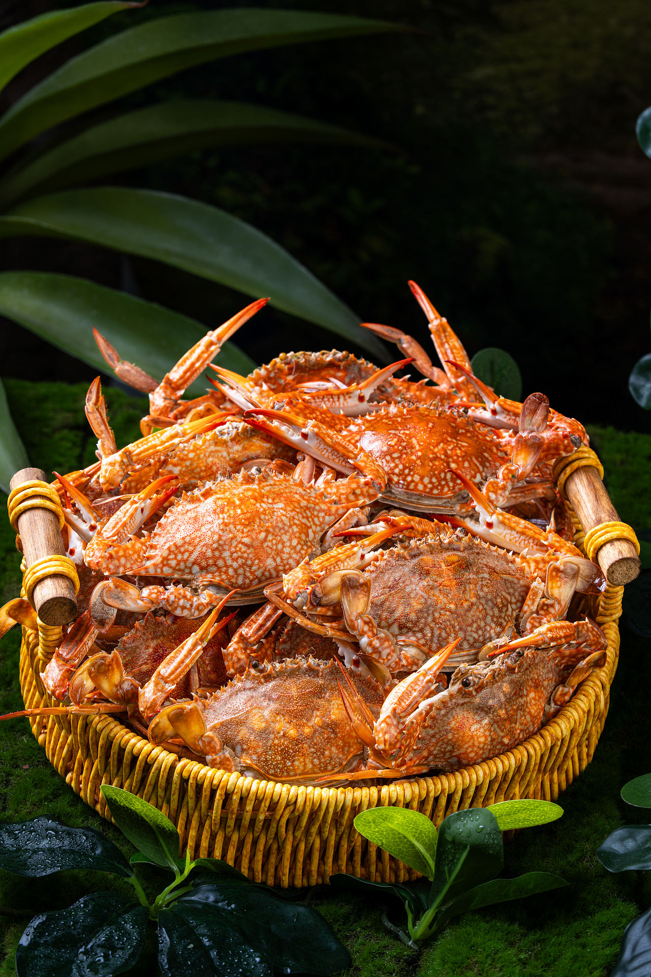 森系小火锅菜品拍摄（图ZNDA3NzUwNTc2） - 美食摄影 - 站酷设计师墨非凡摄影原创素材 - 站酷ZCOOL