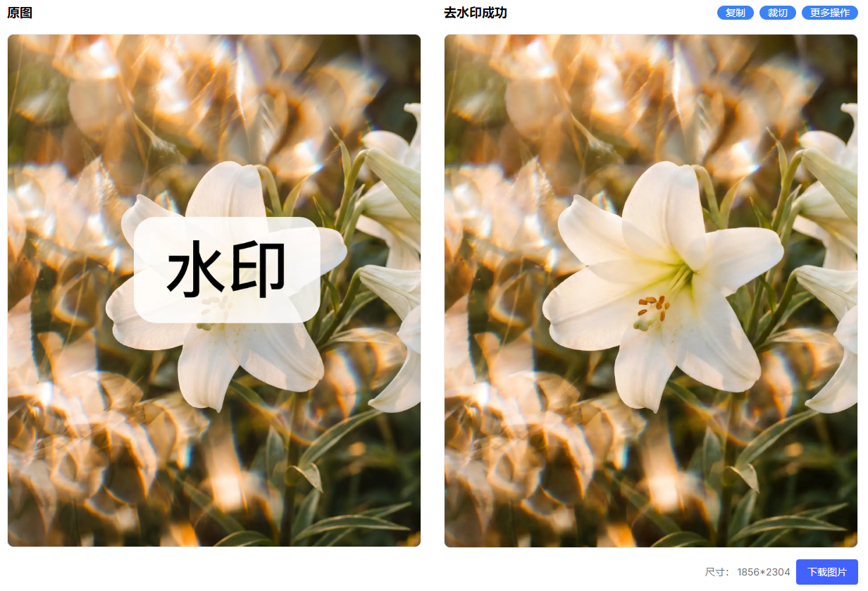 在线去水印网站推荐，无需安装，打开即用无广告（图ZMTU2NDUyNDA=） - 评测 - 站酷设计师果汁i原创素材 - 站酷ZCOOL