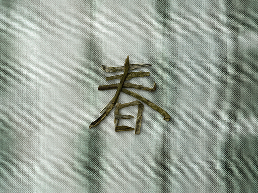 茶飲 英歌魂拍攝