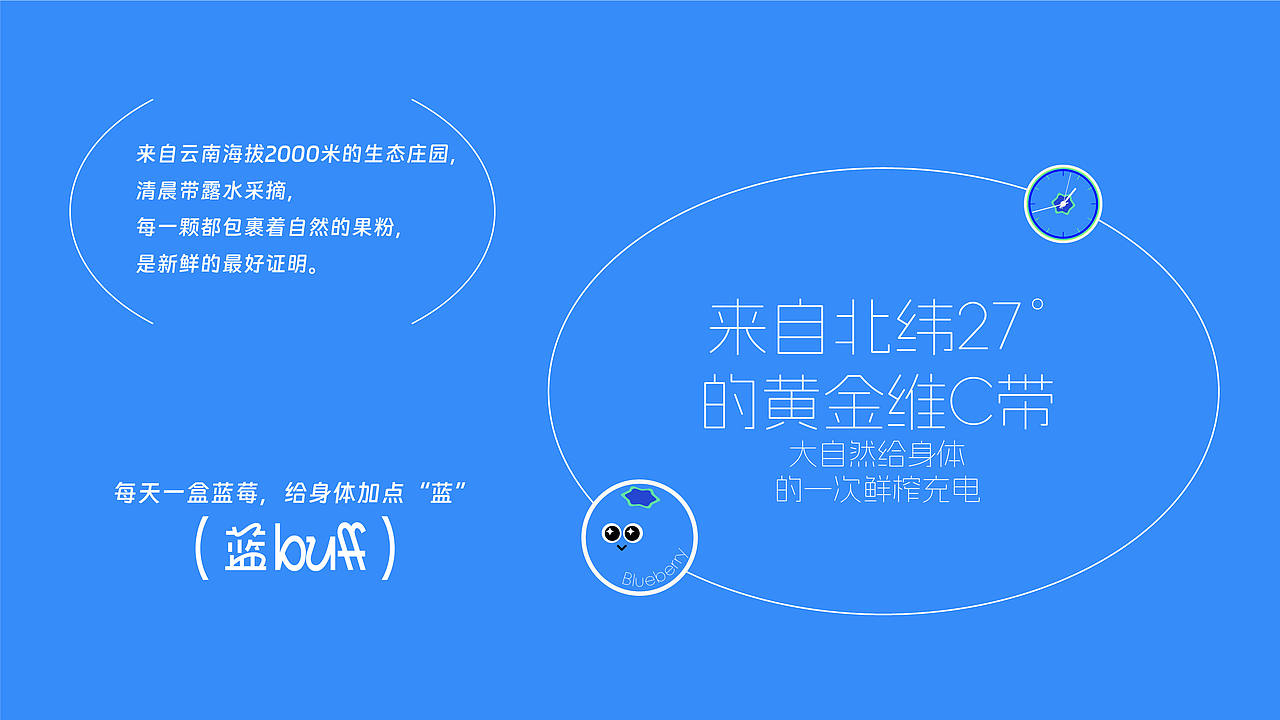 buleberry-蓝莓品牌设计（图ZNDA3ODQ3MTQ4） - 品牌 - 站酷设计师王重王重原创素材 - 站酷ZCOOL