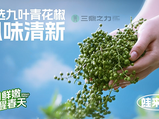 产品上新|蛙来哒·鲜青花椒蛙锅