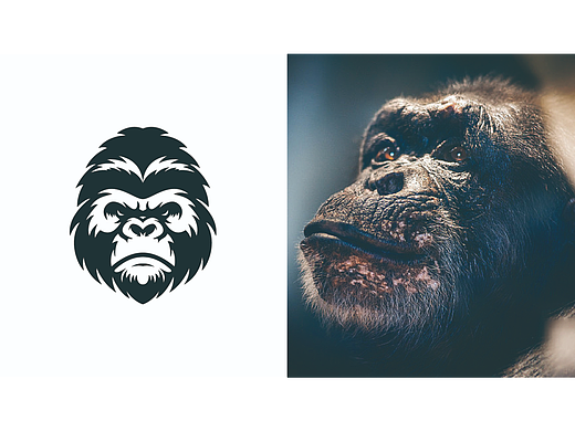 钢化膜LOGO设计-深圳VI设计-深圳画册设计-智睿策划