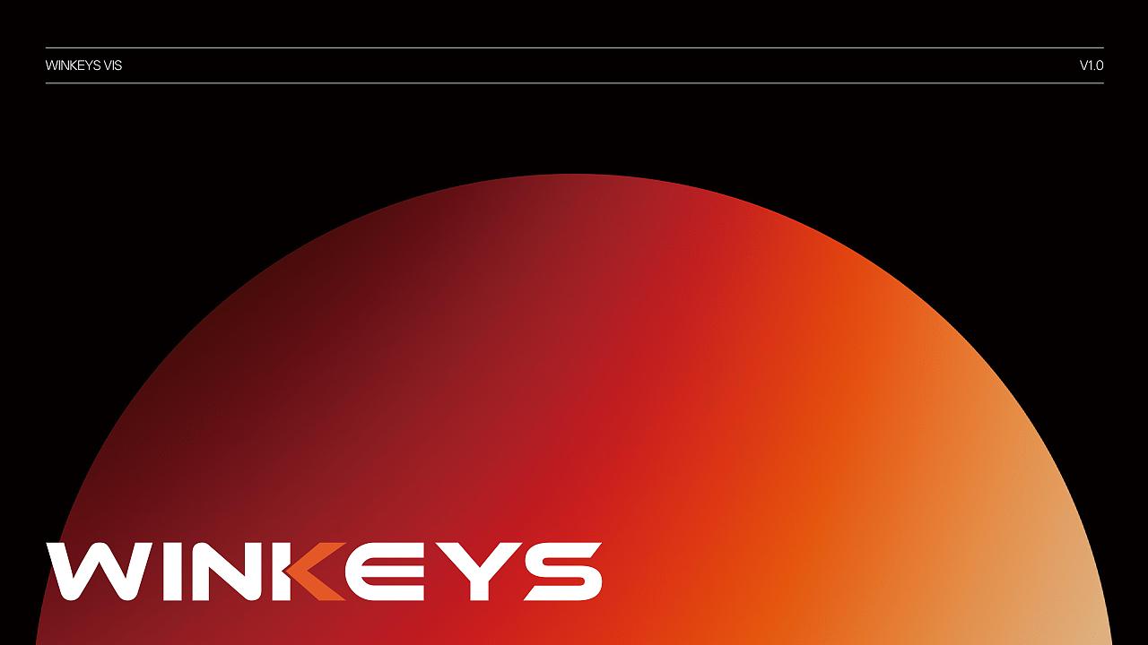 Winkeys-品牌VIS-V1.0基础版（图ZNDA3ODg3NTU2） - 品牌 - 站酷设计师Leif01原创素材 - 站酷ZCOOL