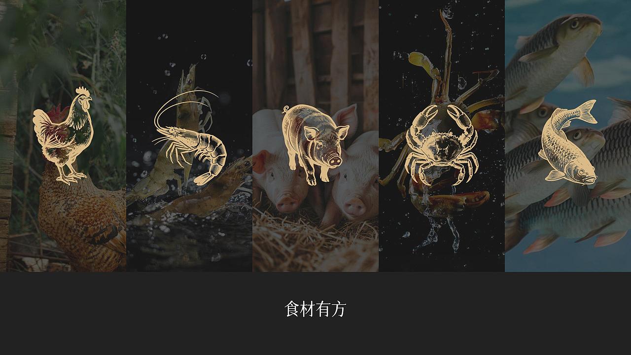 加拿大项目 龙大侠 x 想向一川品牌事务所（图ZNDA3ODkwNTY0） - 品牌 - 站酷设计师想向一川_陈益达原创素材 - 站酷ZCOOL