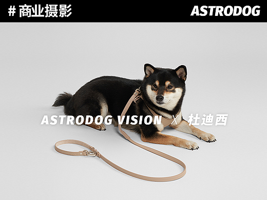 宠物用品拍摄 - 杜迪西宠物防丢项圈