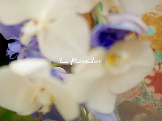 拍的La Koradior 绿野化章时尚短片