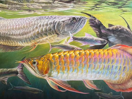 《金银龙鱼》油画