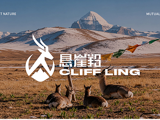 《悬崖羚Cliff antelope》户外品牌IP提案