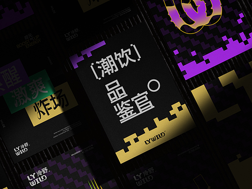 LYWILD丨功能饮料品牌