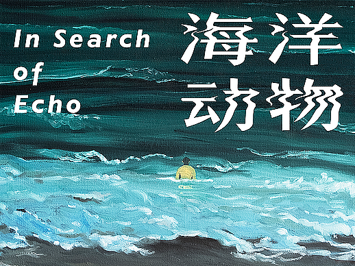 莫斯科国际电影节获奖影片《海洋动物》海报及字幕设计