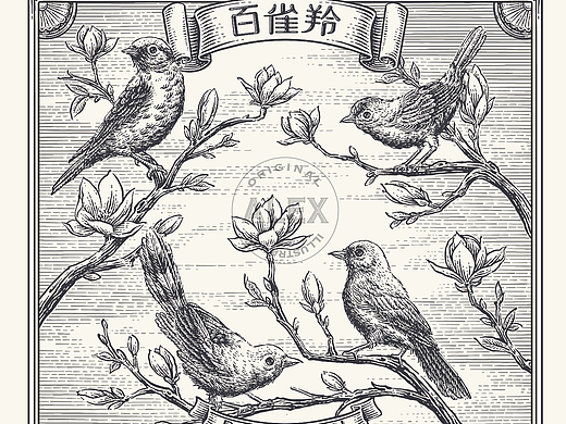 百雀羚彩妆包装插画