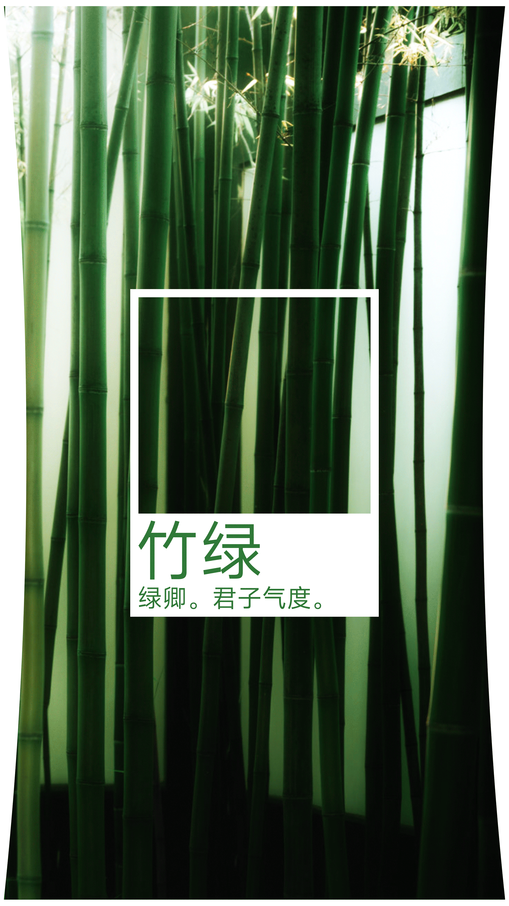 万寿斋·节节高升 端午礼盒设计（图ZNDA4MDgzNTI4） - 包装 - 站酷设计师未知物设计原创素材 - 站酷ZCOOL