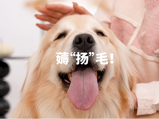 配加 I 卡片式鱼油 高纯配方 加倍呵护