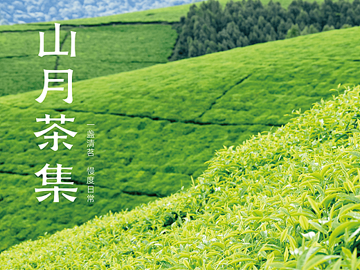 Moon & Tea Collection | 山月茶集