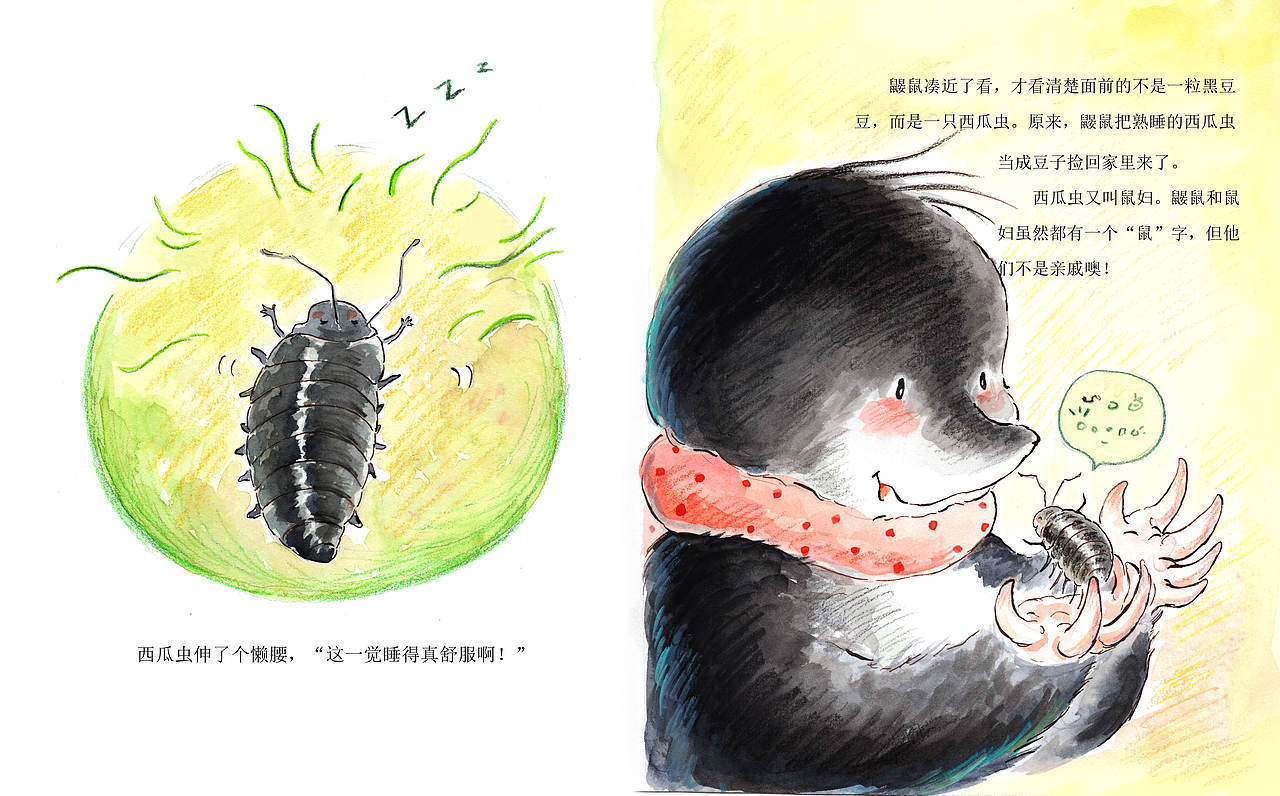 关于鼹鼠的绘本（图ZNDA4NDY0OTcy） - 儿童插画 - 站酷设计师抱抱小枕头原创素材 - 站酷ZCOOL