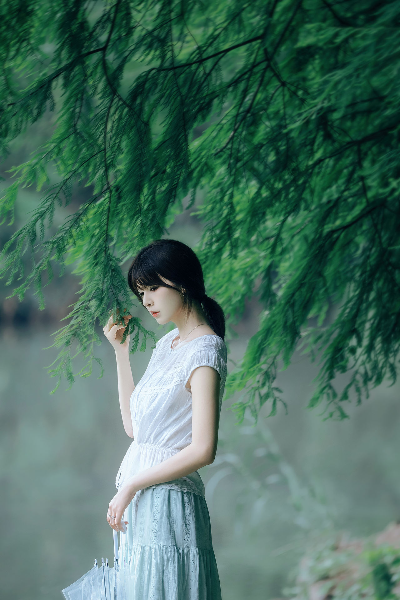 雨后森林（图ZNDA4NTMzMTI4） - 人像摄影 - 站酷设计师晓驷原创素材 - 站酷ZCOOL