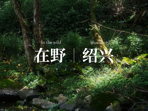 在野|森林秘境