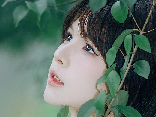 雨后森林