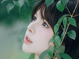 雨后森林