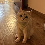 小初心0415的头像