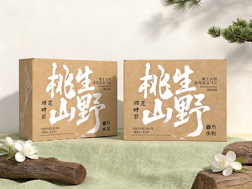水果包装设计|水蜜桃包装设计|桃子包装设计