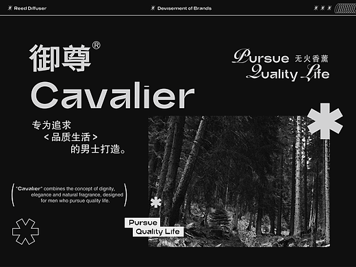 御尊·男士香薰 | LOGO & 包装设计全案（非遗手搓）