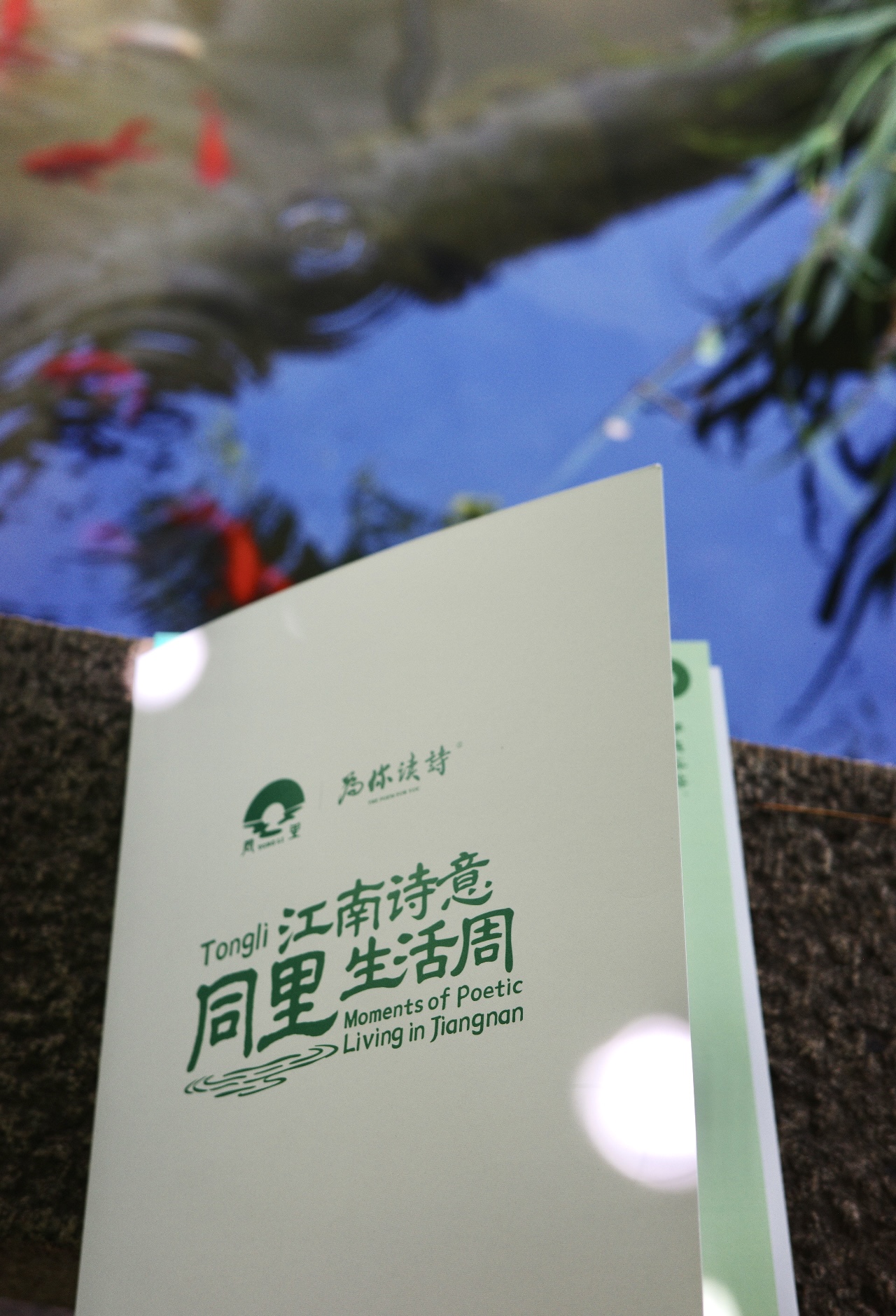 关于"同里江南诗意生活周"的人文感知手记-见证时序共生的诗意之美（图ZMTU2ODY3NDg=） - 观点 - 站酷设计师见珺原创素材 - 站酷ZCOOL