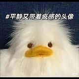 用户头像