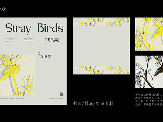 《飞鸟集》--书籍装帧设计