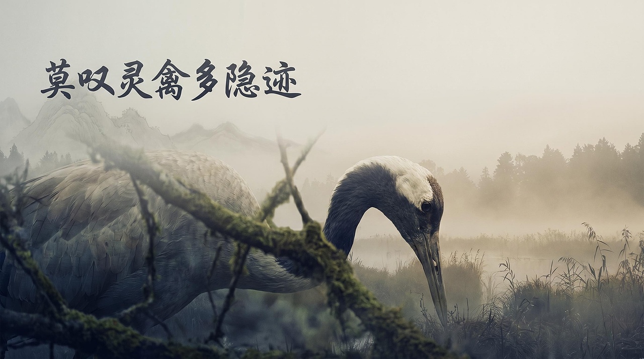 《珍禽赋》(图ZNDA4ODkxNDQw) - AI作品 - 站酷设计师梨塔lks原创素材 - 站酷ZCOOL