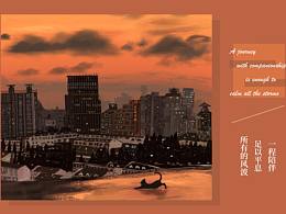 《猫的向光之旅》系列