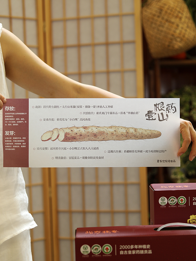 来自千年药都——安国的壹根小白嘴山药（图ZNDA4OTU3NDY4） - 产品摄影 - 站酷设计师陈默工作室原创素材 - 站酷ZCOOL