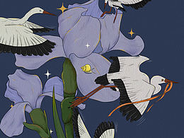 插画分享｜花鸟