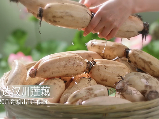 电商产品片|李子柒·每日藕粉