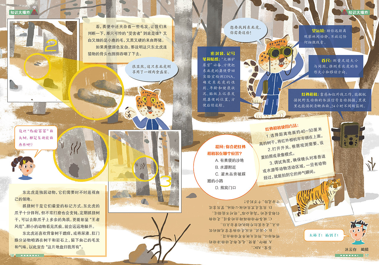 杂志插图《寻踪东北虎》（图ZNDA5MDM1NTMy） - 商业插画 - 站酷设计师赵继娴原创素材 - 站酷ZCOOL