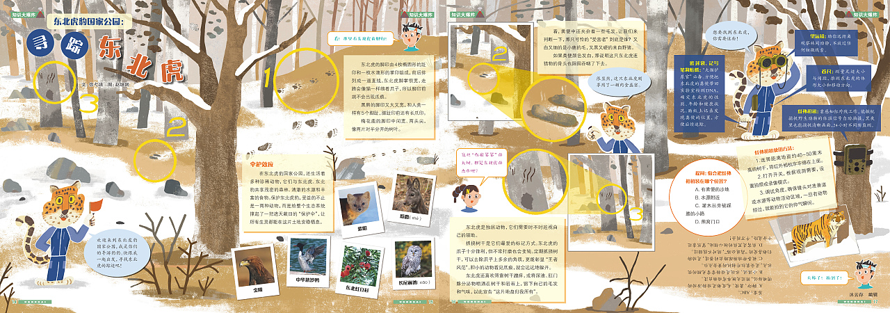 杂志插图《寻踪东北虎》（图ZNDA5MDM1ODEy） - 商业插画 - 站酷设计师赵继娴原创素材 - 站酷ZCOOL