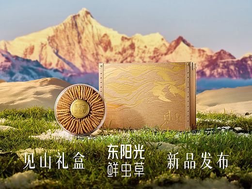 东阳光 冬虫夏草见山礼盒视觉全案 | 东莞锐图摄影