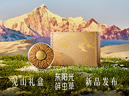东阳光 冬虫夏草见山礼盒视觉全案 | 东莞锐图摄影