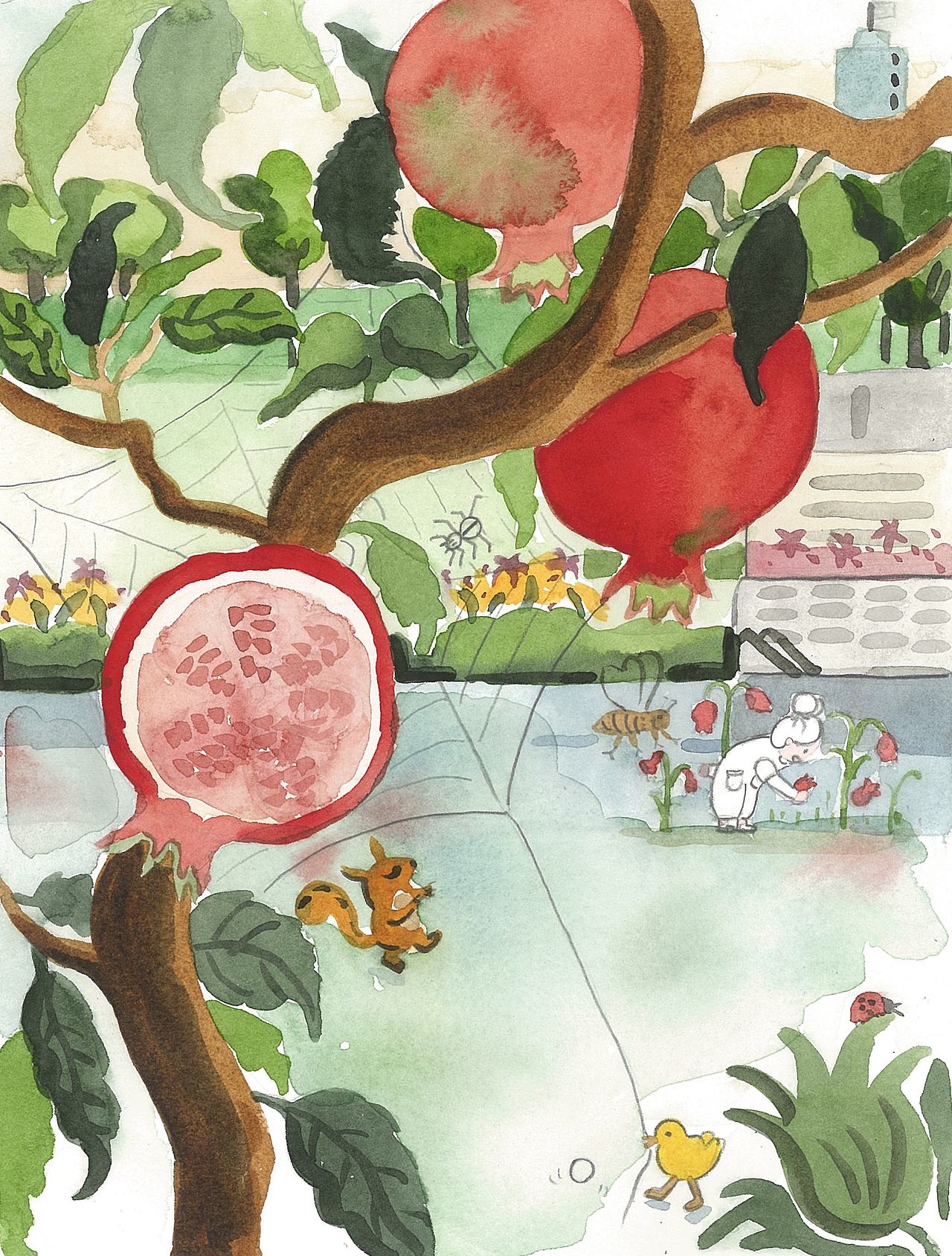 《摘走红石榴》（图ZNDA5MjAxNzky） - 绘本 - 站酷设计师隶晓牧原创素材 - 站酷ZCOOL
