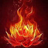 旭阳5027的头像