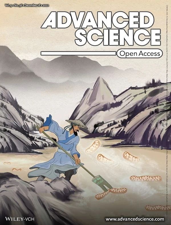 Advanced Science杂志封面汇总展示（图ZNDA5Mjk2OTY4） - 人物/生物 - 站酷设计师邦图文化原创素材 - 站酷ZCOOL