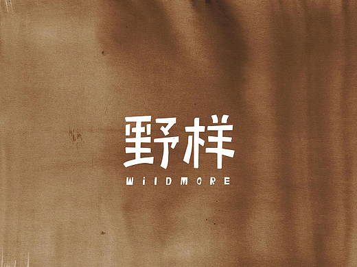 品牌全案塑造