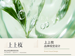 上上枝 EXTEA｜高山茶品牌视觉设计