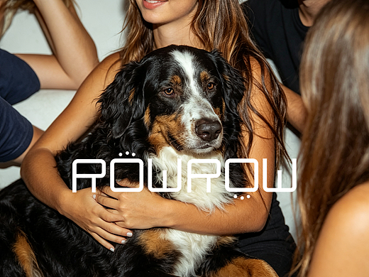 ROWROW 狗粮品牌设计方案（此品牌纯属虚构）